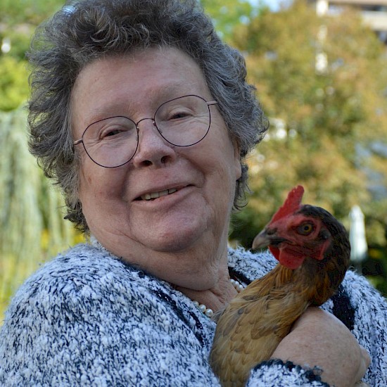 Regelmäßig kommen Hühner, um die sich die Bewohnerinnen kümmern können